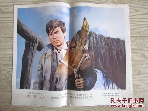 电大学历证书可以查询吗